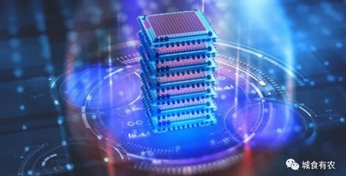 量子计算 开启粮食安全新时代的“超能力”技术